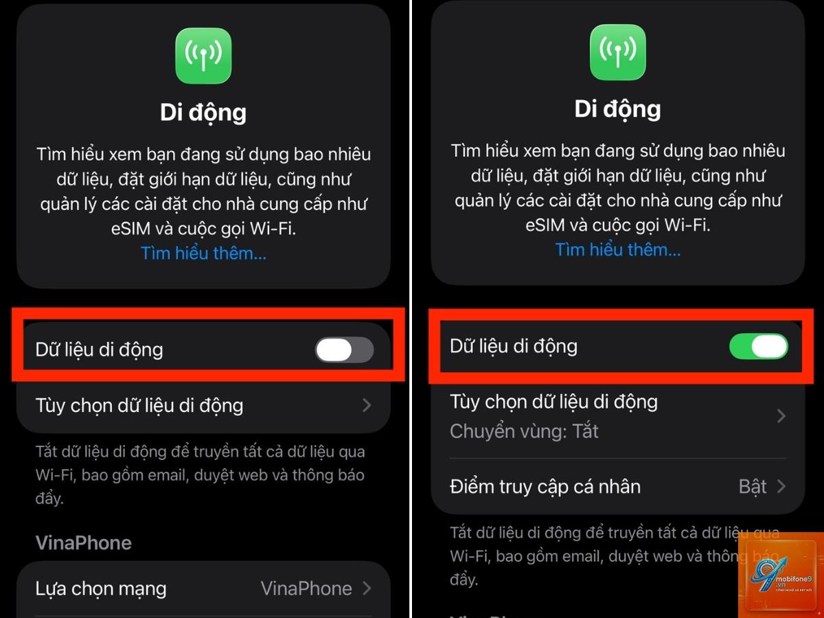 iphone không chuyển vùng dữ liệu được - Hình 3