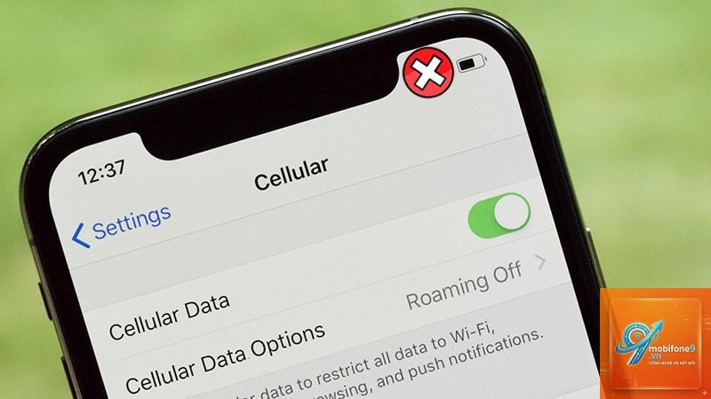 iphone không có dữ liệu di động - Hình 2