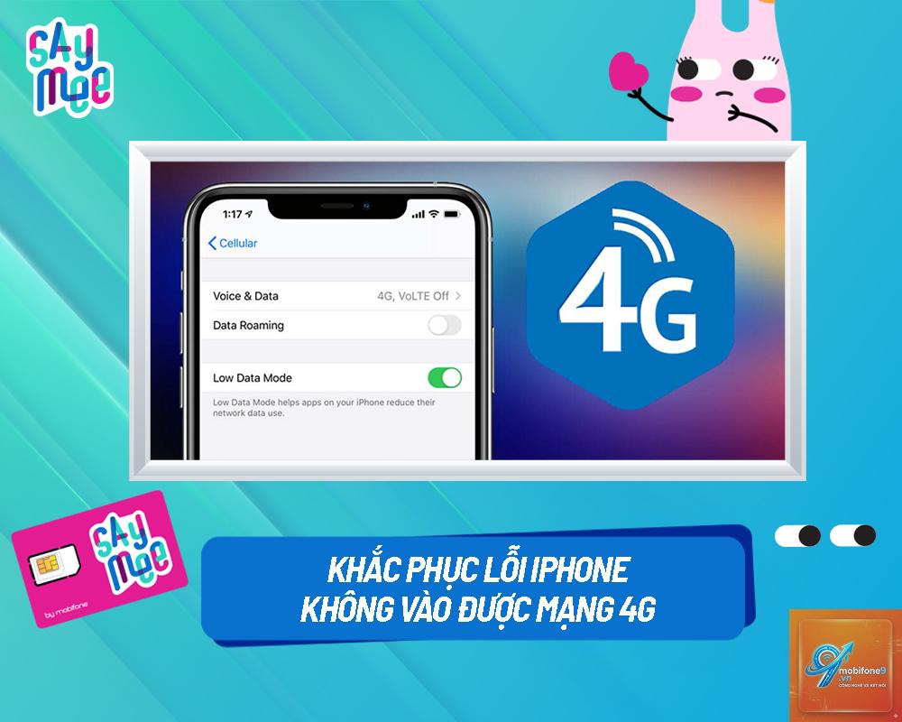 iphone không kết nối được 4g - Hình 5