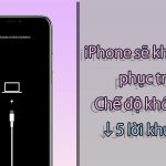 iphone không khôi phục được
