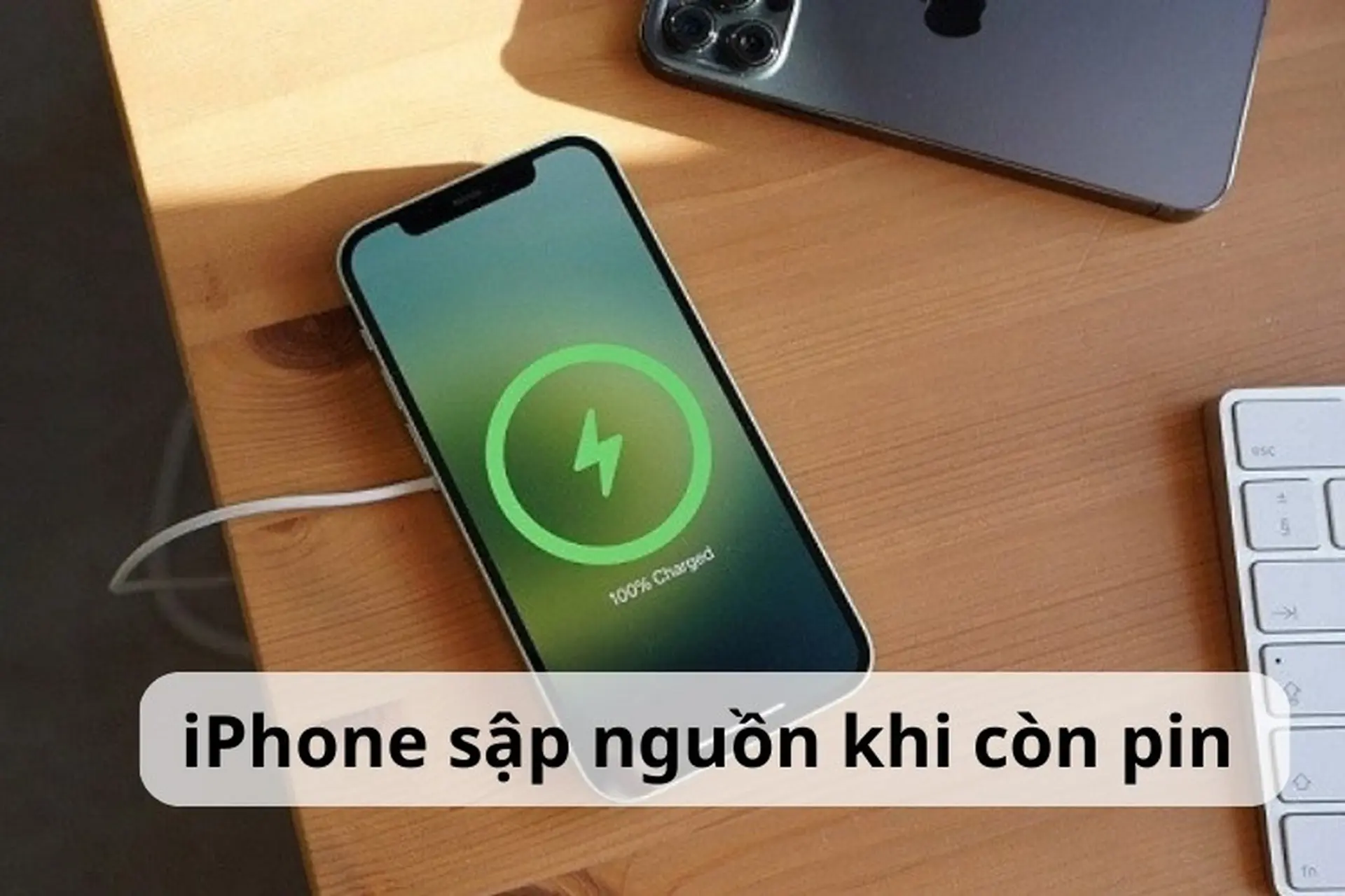 iphone sập nguồn do pin - Hình 2