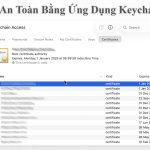 Keychain không lưu mật khẩu: Nguyên nhân, cách khắc phục và giải pháp bảo mật toàn diện keychain không lưu mật khẩu