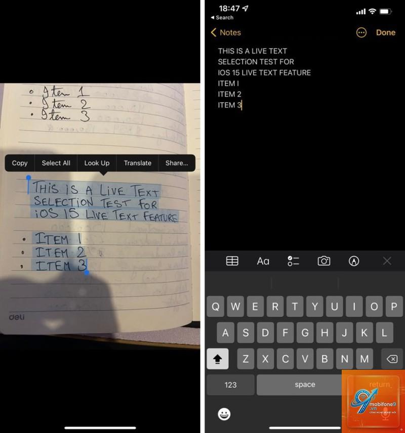 live text trên ios 18 - Hình 2