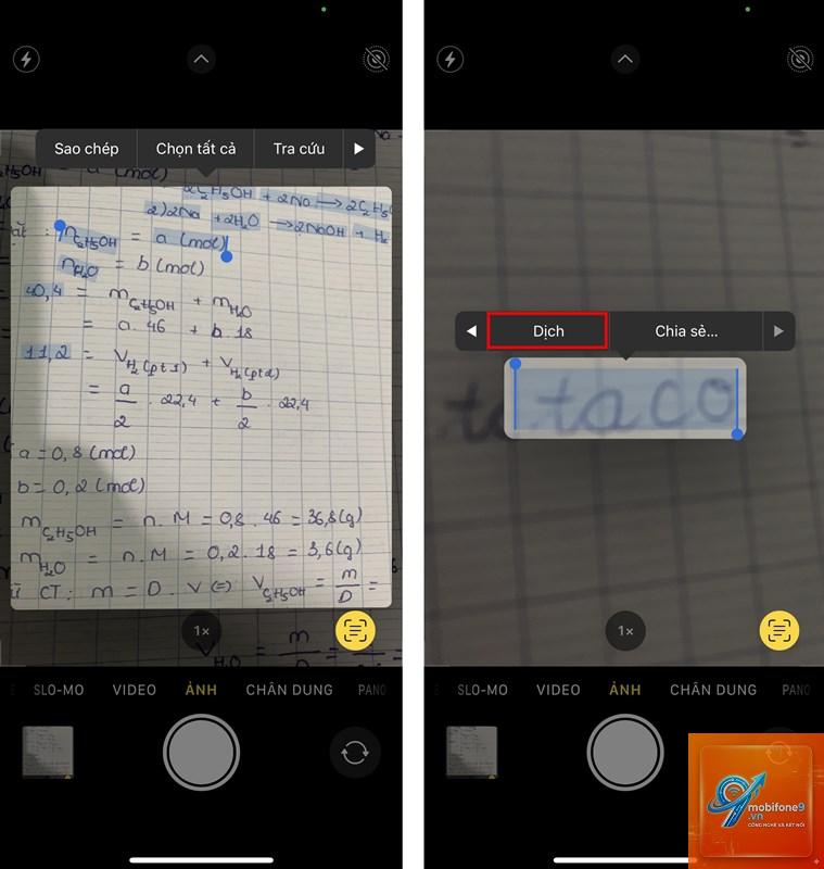 live text trên ios 18 - Hình 1