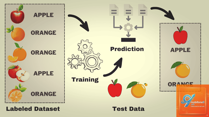 machine learning trên apple là gì - Hình 1