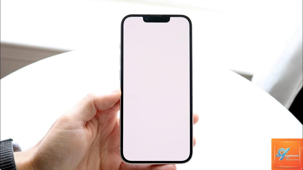 màn hình iphone bị trắng - Hình 3