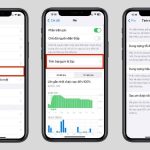 pin apple có bền không