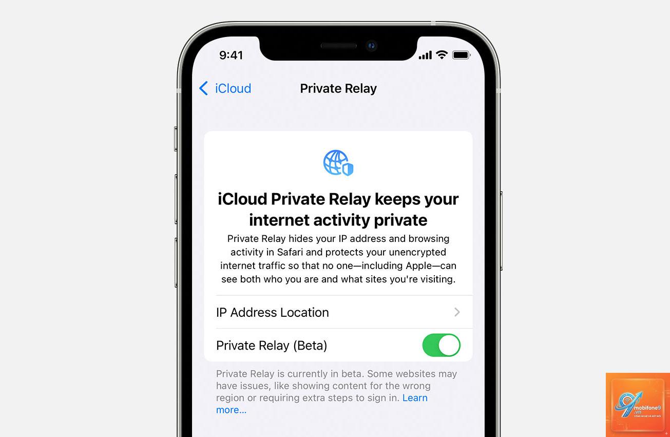 private relay bị lỗi mạng - Hình 3