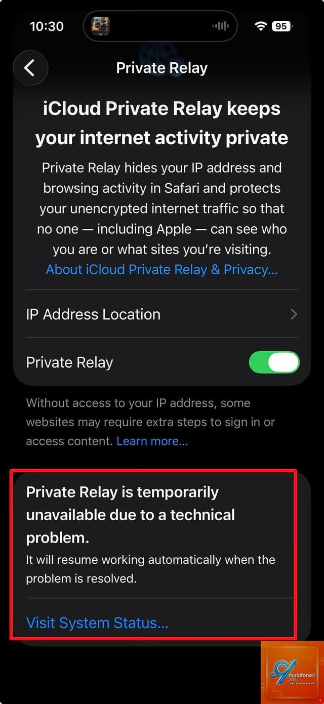 private relay bị treo - Hình 5