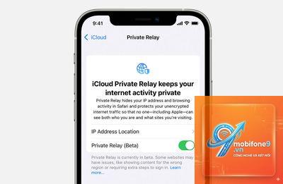 private relay không ẩn được ip - Hình 1