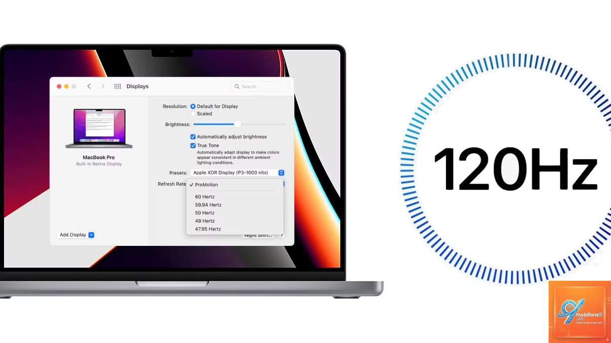 pro motion display là gì - Hình 5