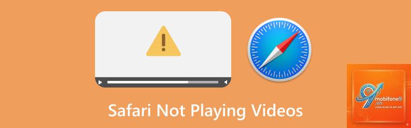 safari không phát video - Hình 1