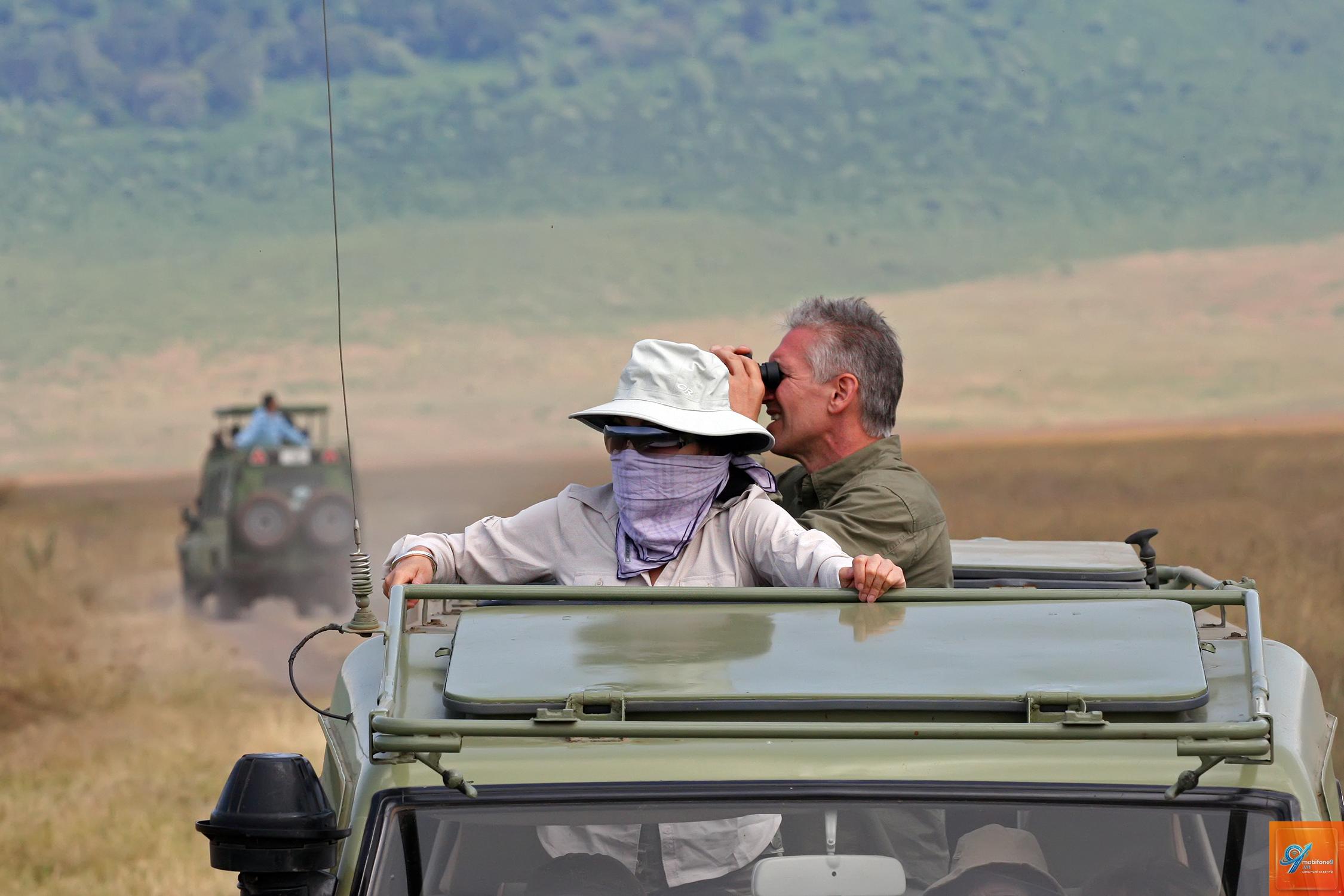 safari là gì - Hình 1