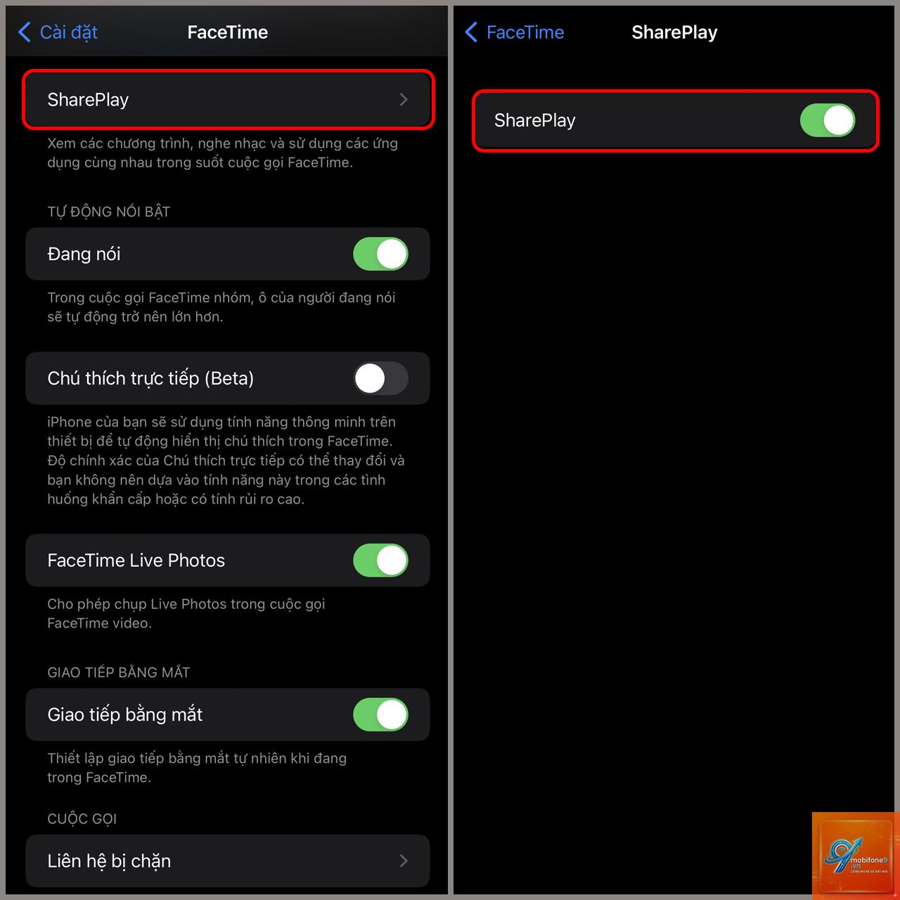 shareplay không chia sẻ màn hình được - Hình 4