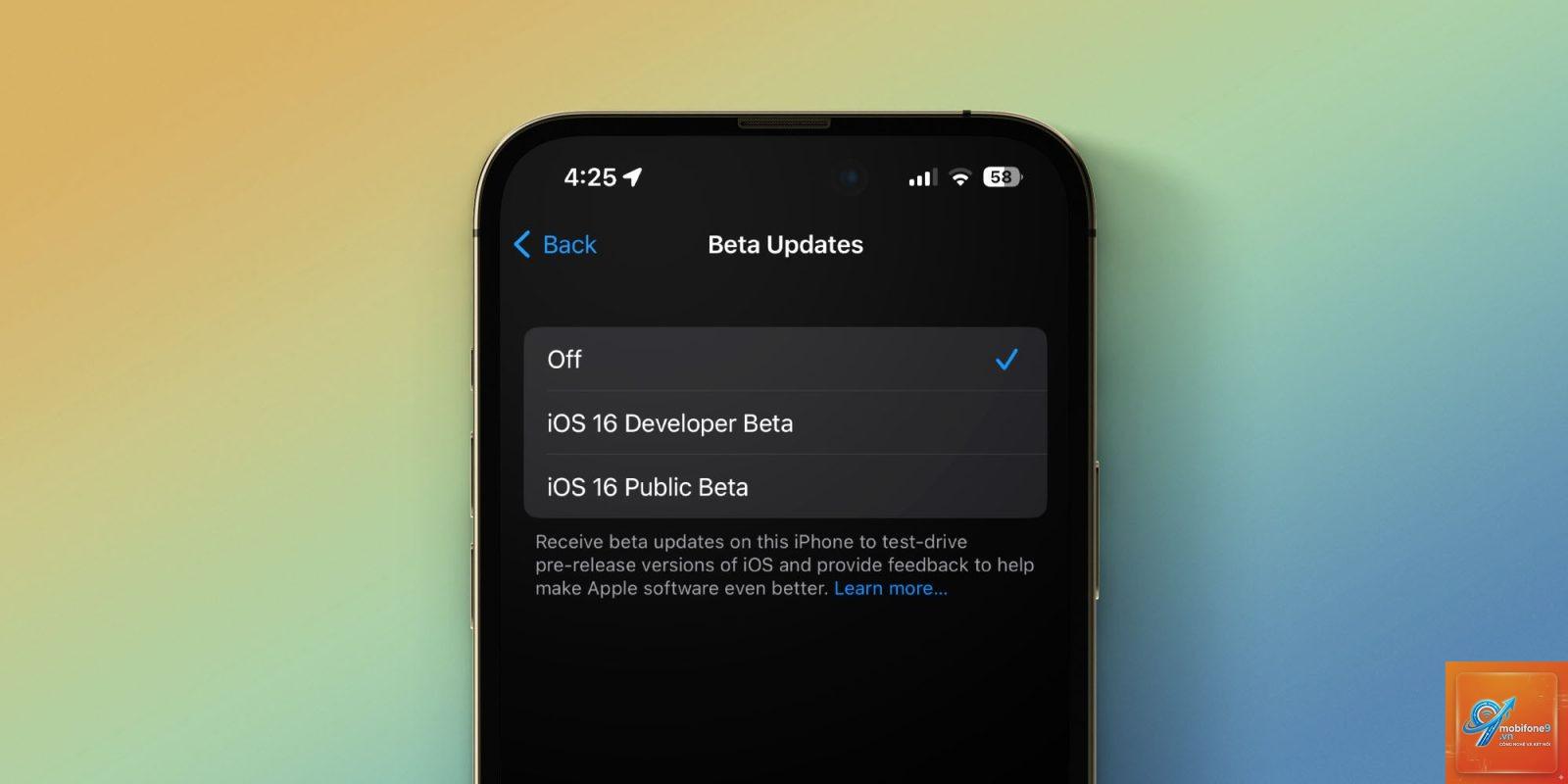 sự khác nhau giữa public beta và developer beta - Hình 3