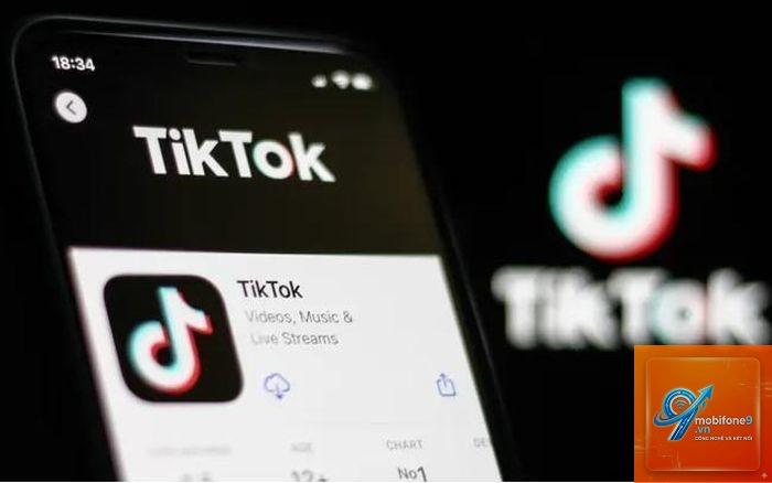 tiktok không tải được video trên iphone - Hình 3