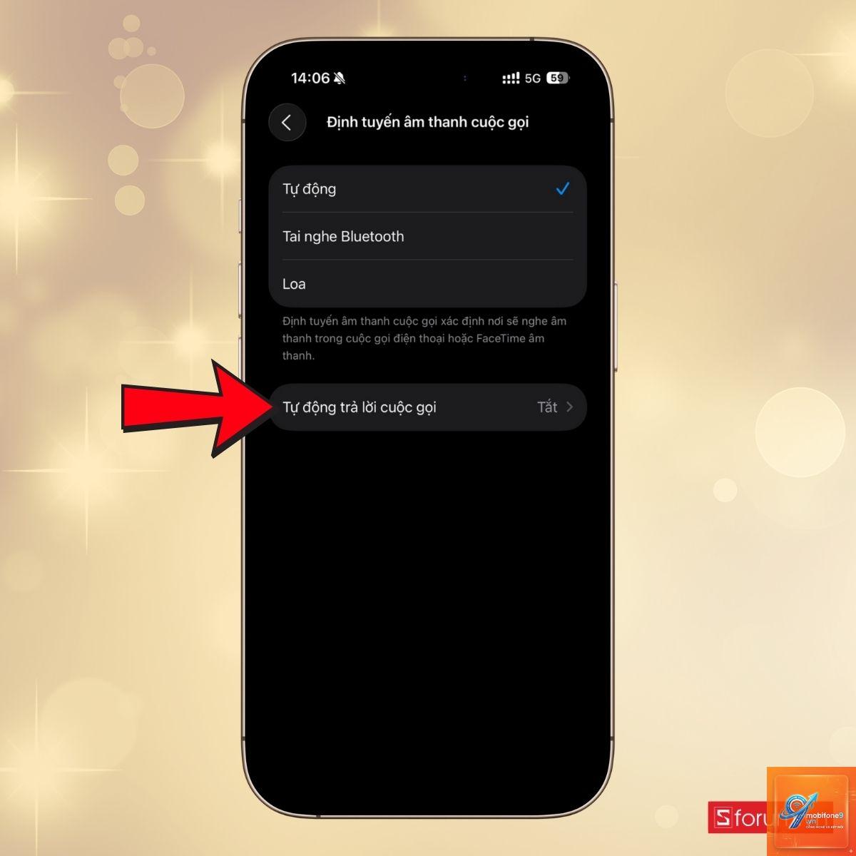 tự động trả lời cuộc gọi trên iPhone - Hình 5