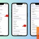 Ứng dụng dịch iPhone bị lỗi: Nguyên nhân và cách khắc phục triệt để