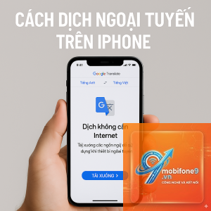 ứng dụng dịch iphone không dịch được web