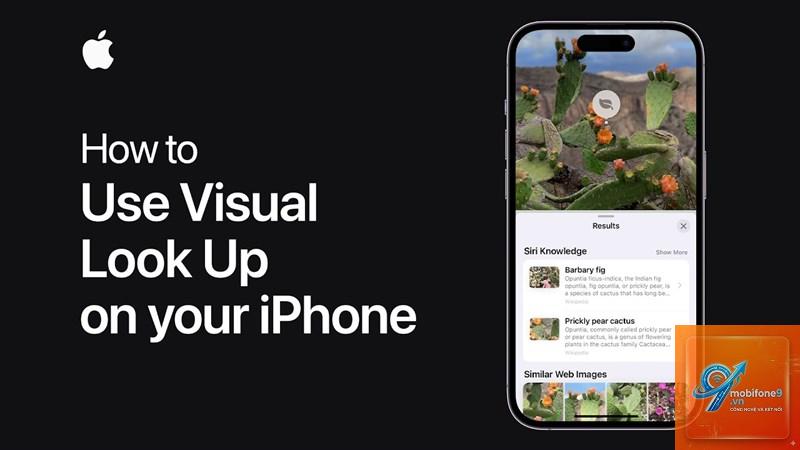 visual lookup là gì - Hình 2