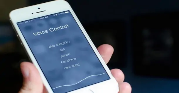 voice control bị lỗi - Hình 3