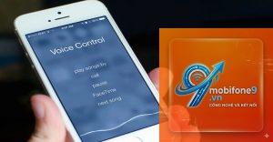voice control không phản hồi