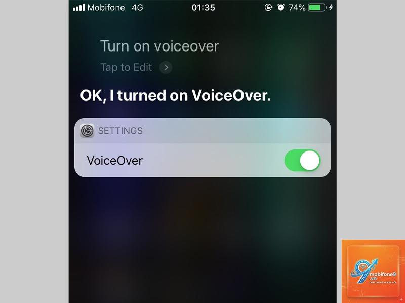 voiceover là gì - Hình 3