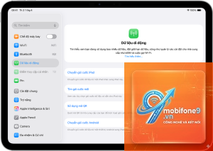 Cách chuyển eSIM sang iPad
