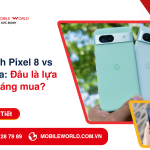 So Sánh Google Pixel 8a Và Pixel 8: Bản Nào Xứng Đáng Mua Hơn Năm 2025?
