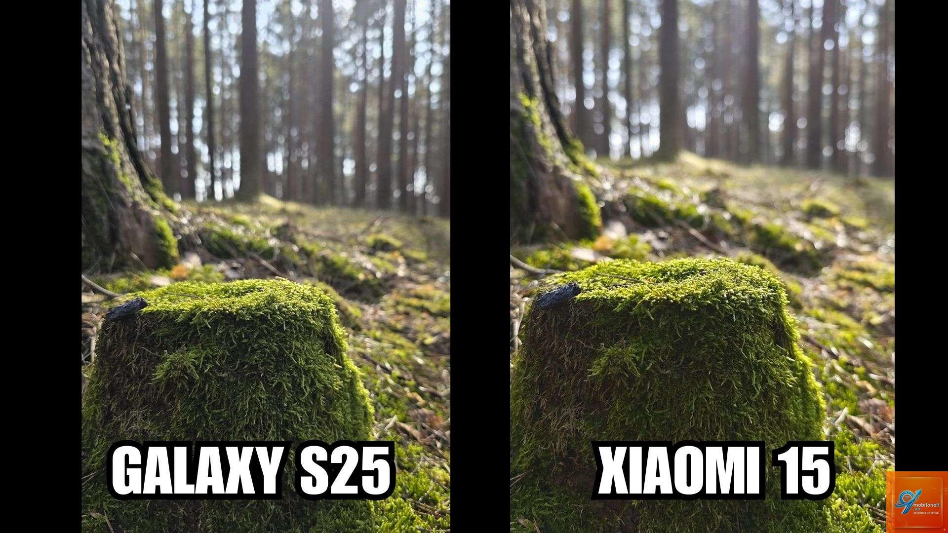 So Sánh Samsung Galaxy Và Xiaomi Chụp Ảnh Ban Đêm - Hình 5