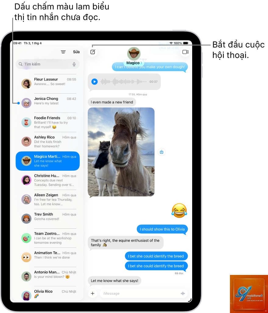 iPad có nhắn tin được không - Hình 4